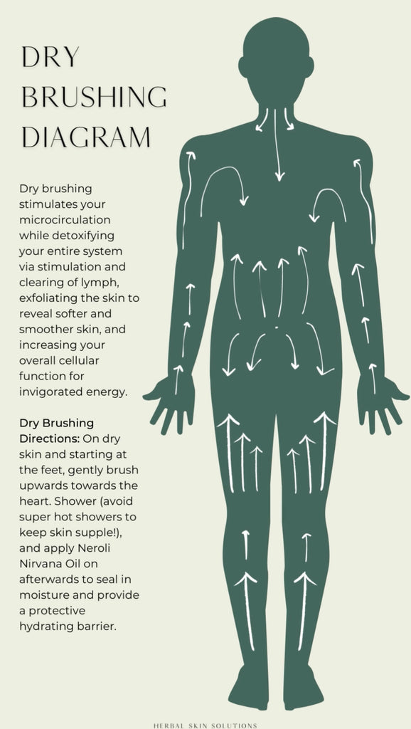 Rejuvenate Your Skin And Boost Wellness With The Ayurvedic Benefits of Dry Brushing!